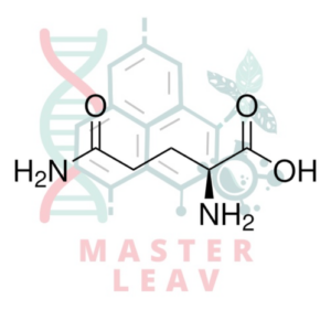 L-Glutamina 200 mM BioXtra® estéril para cultivo celular