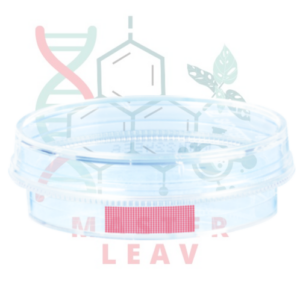 Placa de cultivo celular 35 x 10 mm con rejilla superficie estándar TC Tested