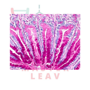 Entellan™ Nuevo para Cubreobjetos Automatizado