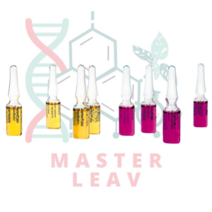 BIOINDICADOR STERIKON® PLUS 2 mL PARA AUTOCLAVE