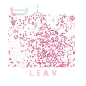 AFB-COLOR VERDE MALAQUITA (OXALATO) EN SOLUCIÓN