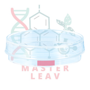 Placa de cultivo celular 60 x 15 mm superficie estándar TC Tested