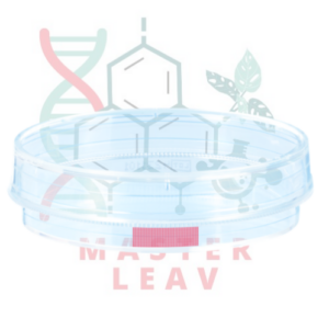 Placa de cultivo celular 60 x 15 mm con rejilla superficie estándar TC Tested