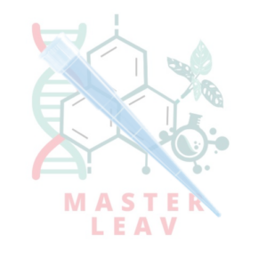 Punta de pipeta 200 µl transparente PCR Performance Tested, sin filtro