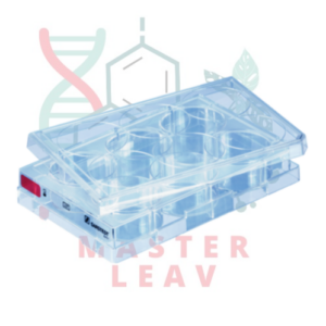 Placa de cultivo celular 6 pocillos fondo plano superficie estándar TC Tested