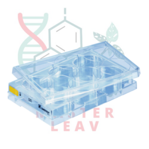 Placa de cultivo celular 6 pocillos fondo plano superficie Cell+ TC Tested