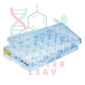 Placa de cultivo celular 24 pocillos fondo plano superficie Cell+ TC Tested