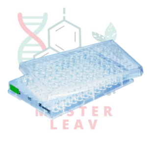 Placa de cultivo celular 96 pocillos fondo cónico superficie Suspensión TC Tested