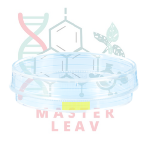 Placa de cultivo celular 60 x 15 mm superficie Cell+ TC Tested