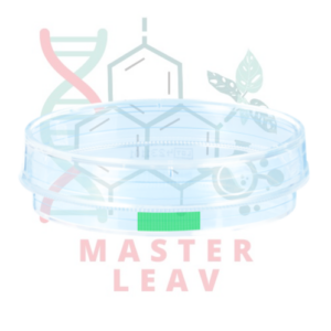 Placa de cultivo celular 60 x 15 mm superficie Suspensión TC Tested