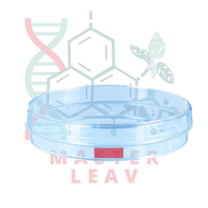 Placa de cultivo celular 100 x 20 mm superficie estándar TC Tested