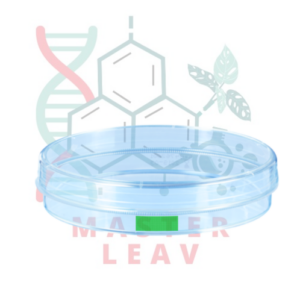 Placa de cultivo celular 100 x 20 mm superficie Suspensión TC Tested