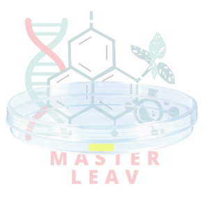 Placa de cultivo celular 150 x 20 mm superficie Cell+ TC Tested