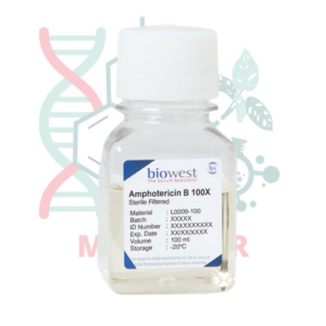 ANFOTERICINA B 100X