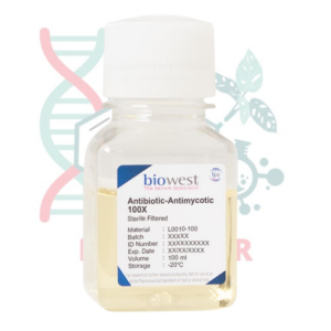 ANTIBIÓTICO–ANTIMICÓTICO 100X