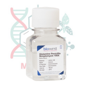 GLUTAMINA – PENICILINA – ESTREPTOMICINA 100X