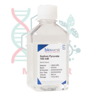 Piruvato Sódico 100 mM para cultivo celular