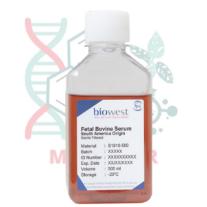 Suero Fetal Bovino (FBS) América del Sur