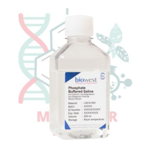 Solución Salina Tamponada con Fosfato (PBS) sin Calcio, Magnesio ni Cloruro Potásico
